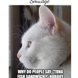 Smudge