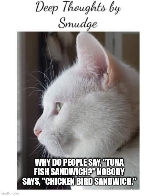 Smudge #0