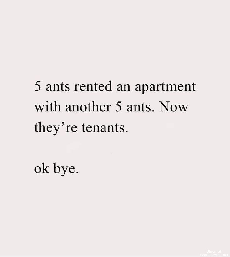 5 Ants #0