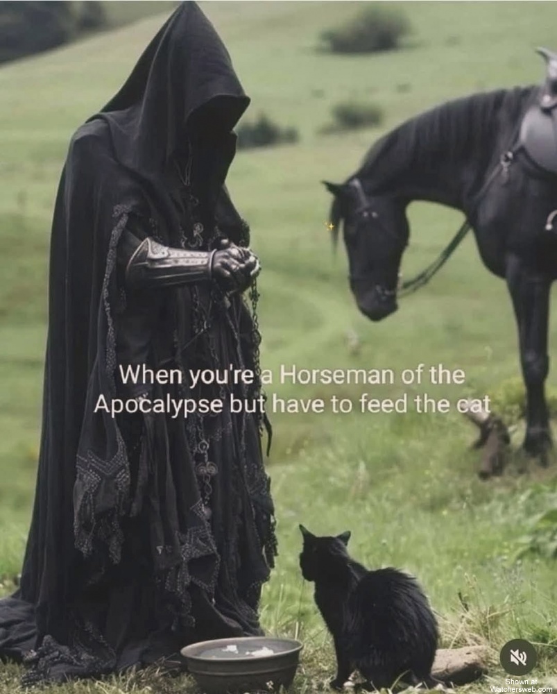 Have To Feed The Cat #0