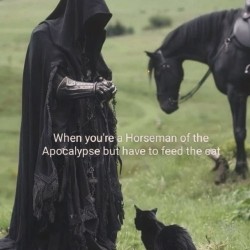 Have To Feed The Cat