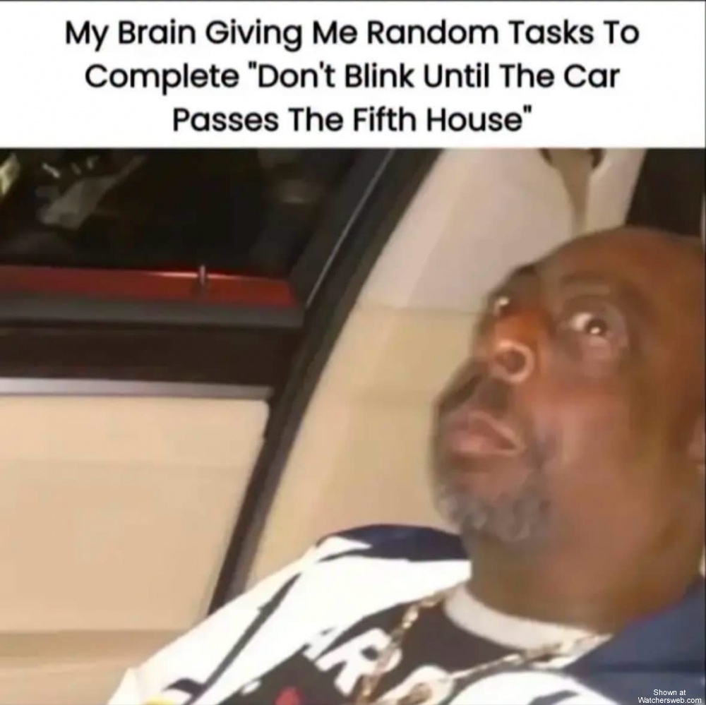 My Brain #0