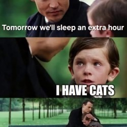 But Cats