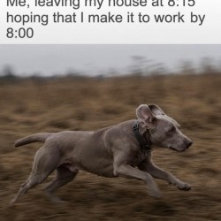 Hoping I’ll Make It