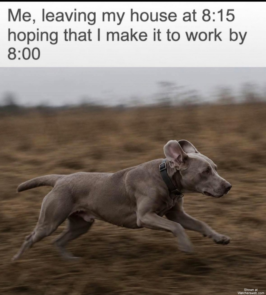 Hoping I’ll Make It #0