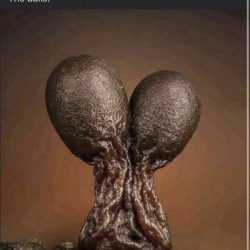 Lick Them Balls