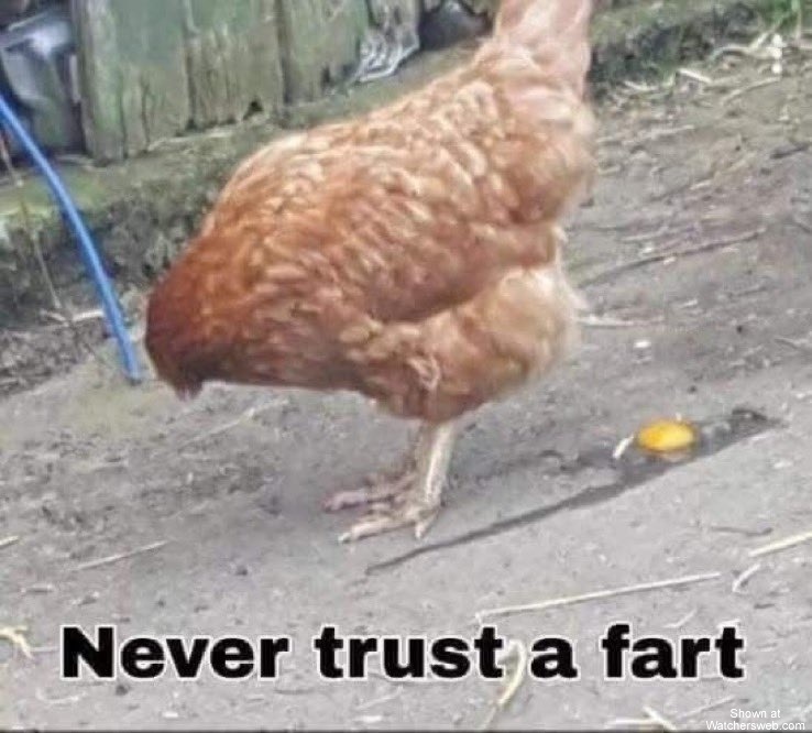 Never Trust A Fart #0