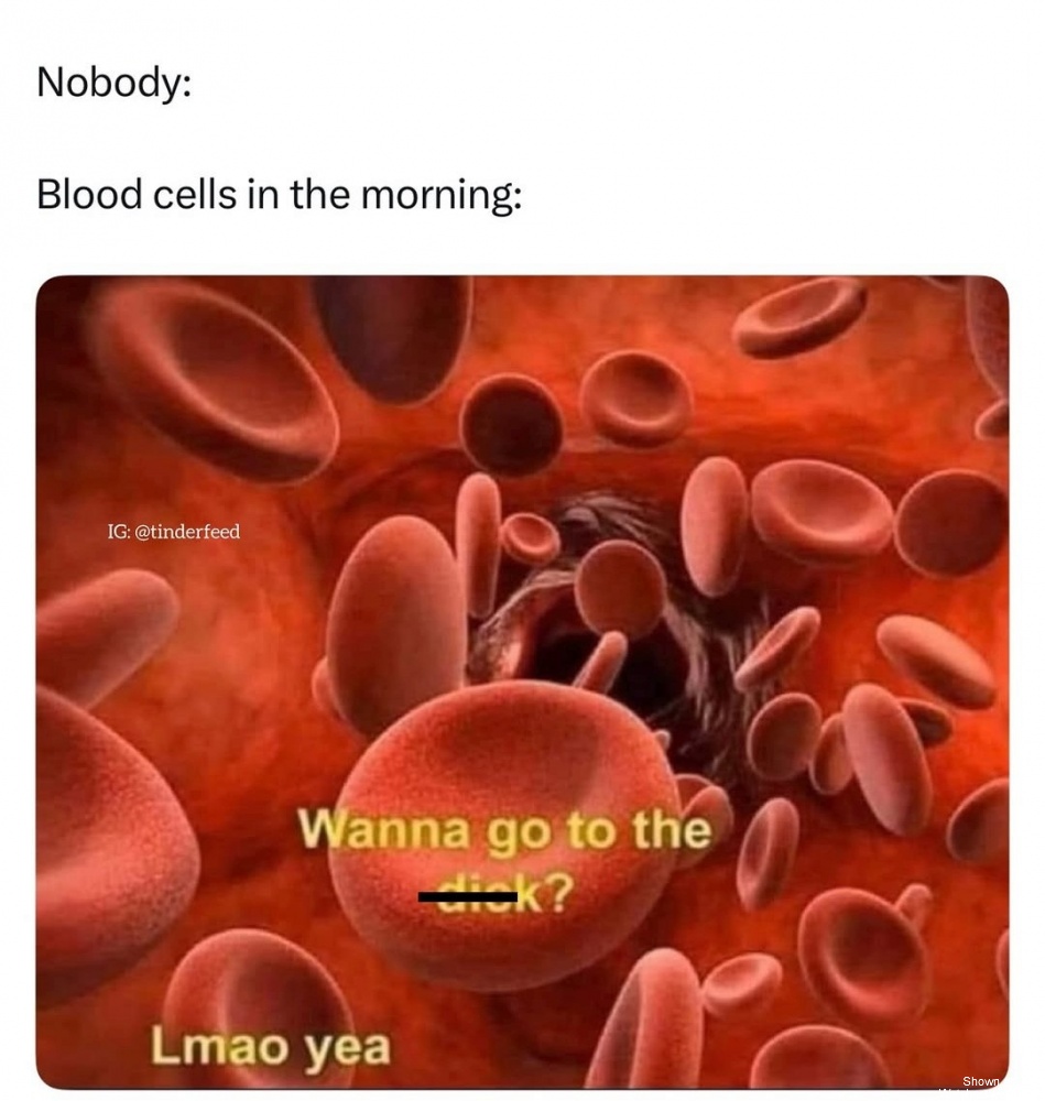 Blood Cells #0