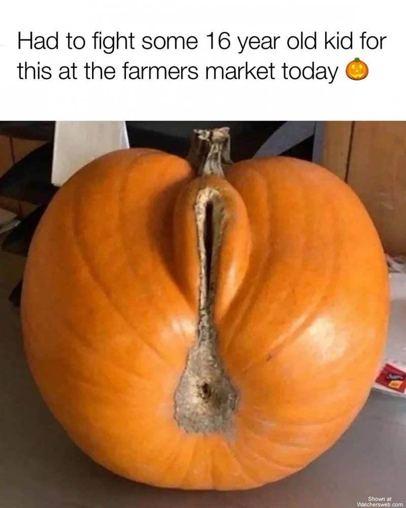 Pumpkin #0