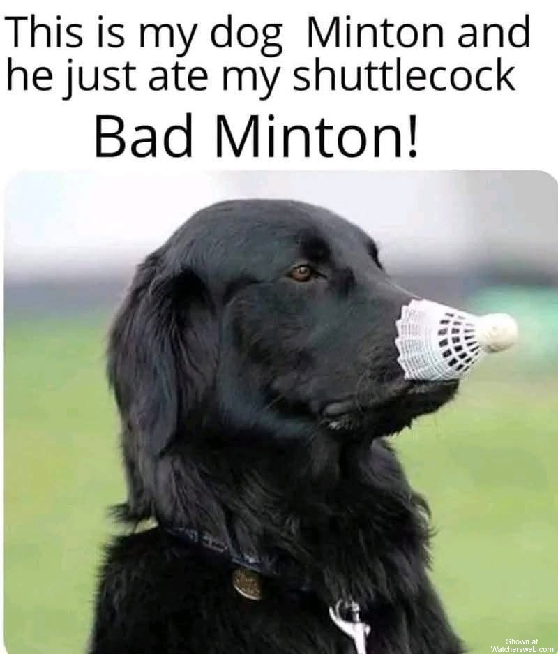 My Dog #0