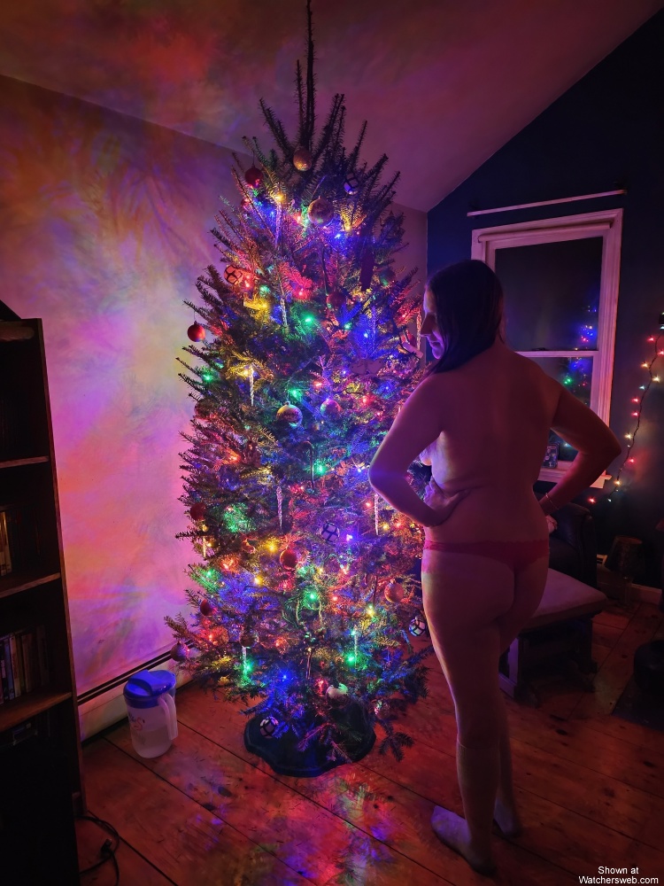 Setting Up For Christmas #1