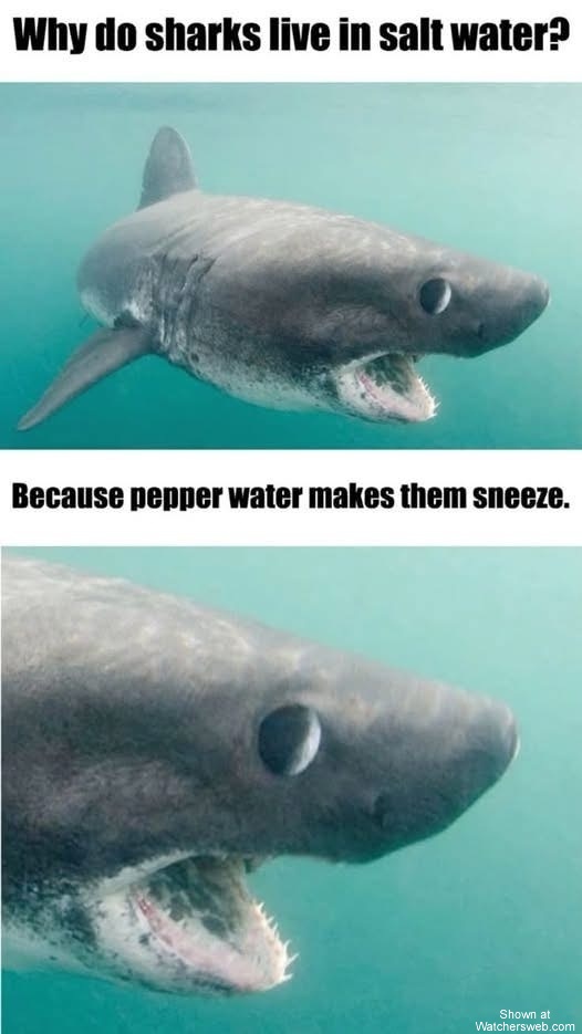 Sharks #0
