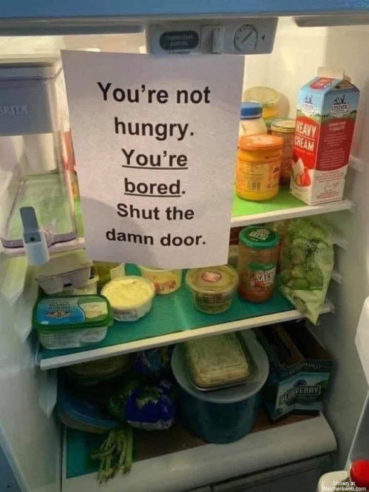 You’re Not Hungry #0