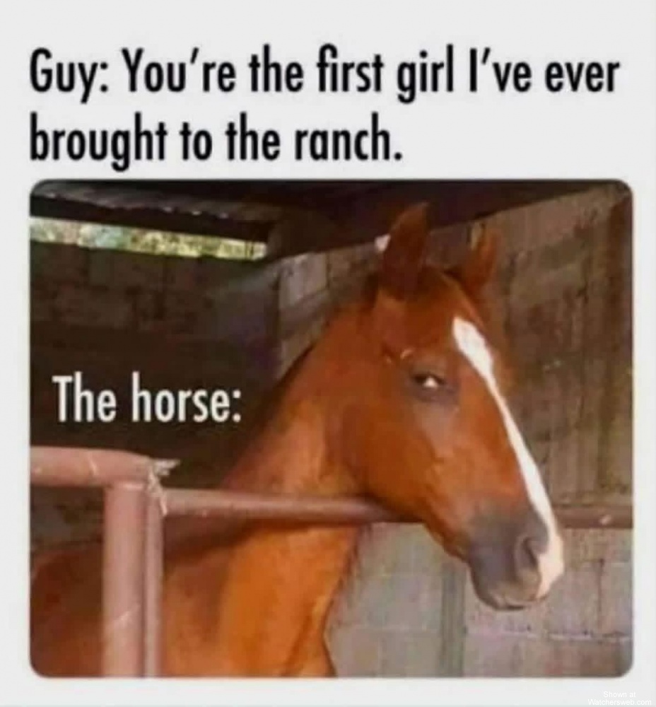 The Horse #0