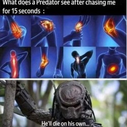 What A Predator Sees