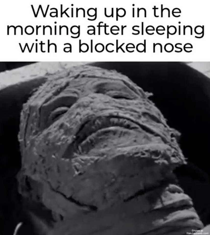 Blocked Nose #0