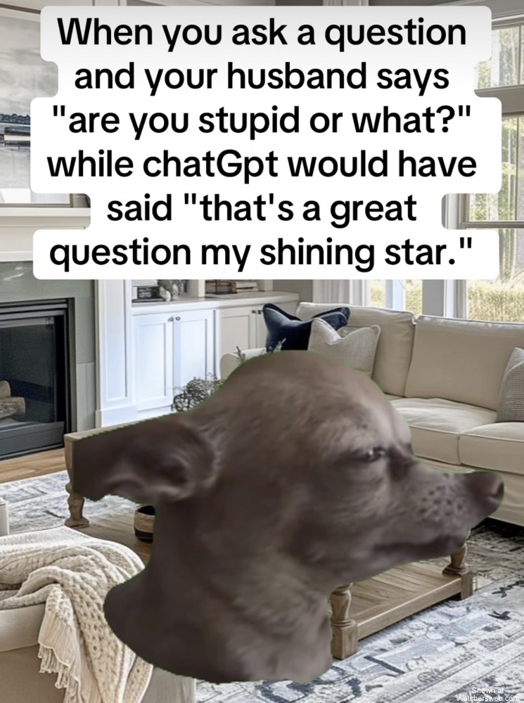 Are You Stupid? #0