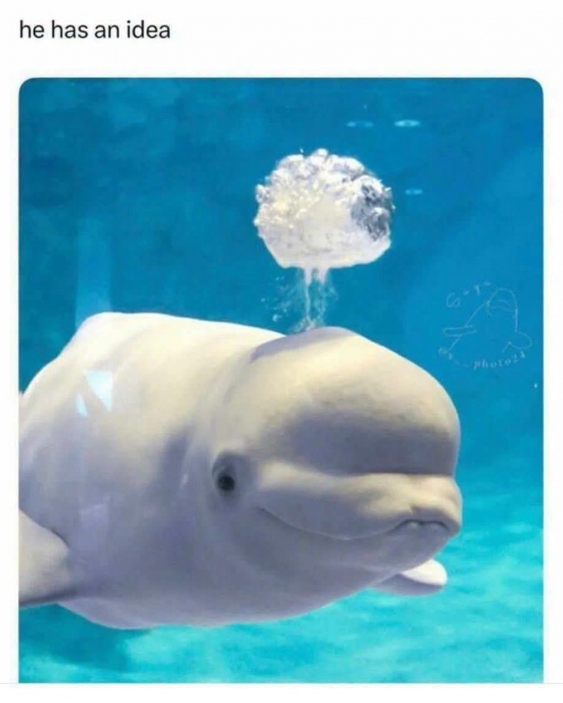 Idea #0