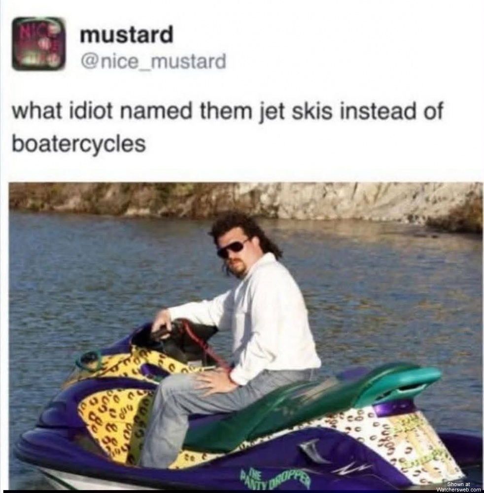 Idiot #0