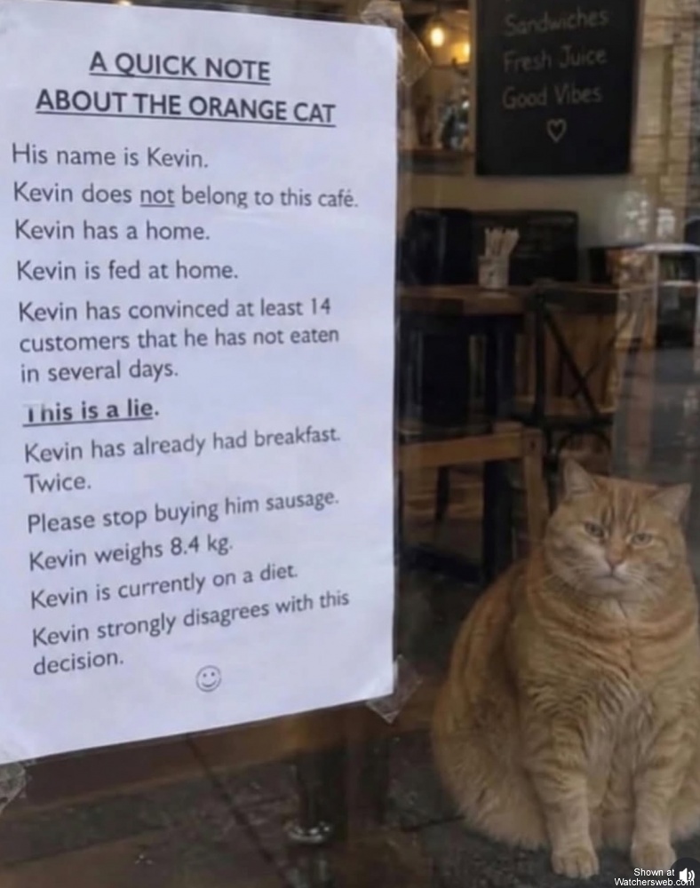 Kevin #0