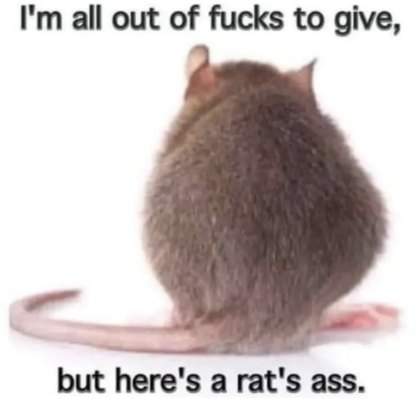 Rat's Ass #0