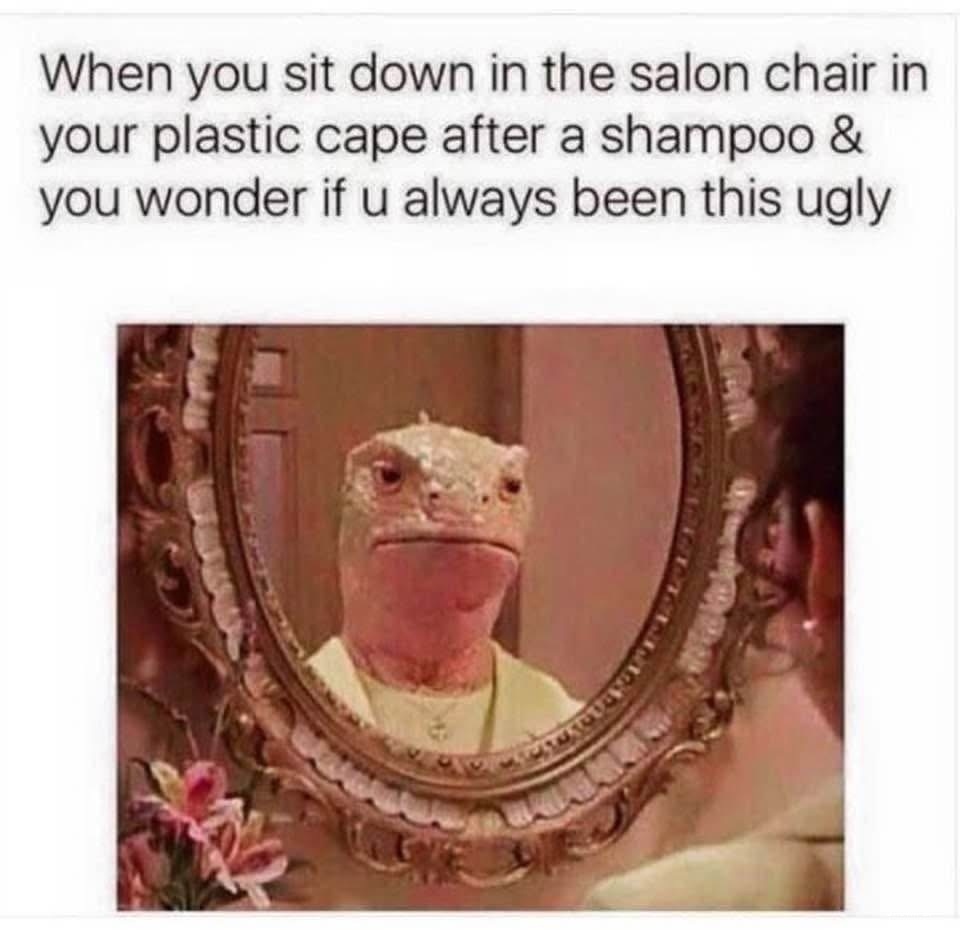 The Salon #0