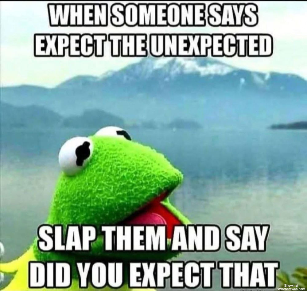 Did You Expect That #0