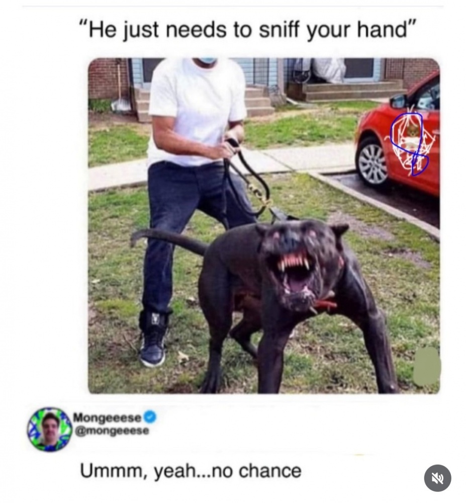 No Chance #0