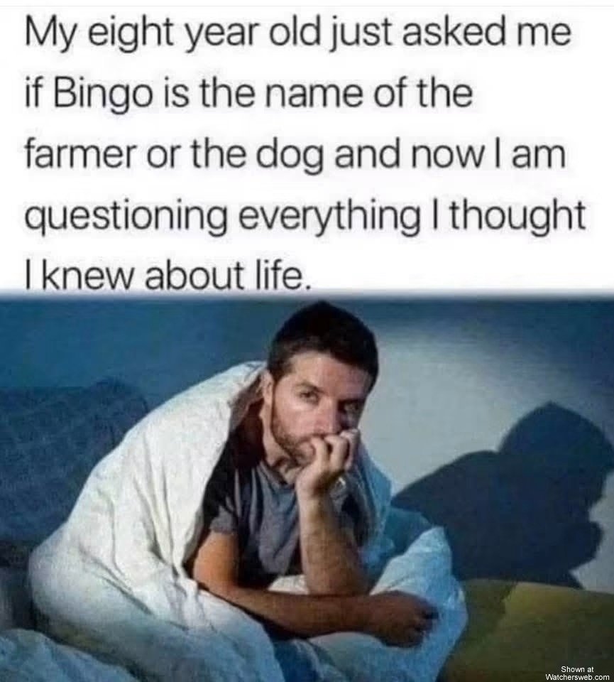 Bingo #0