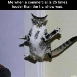 The Commercial