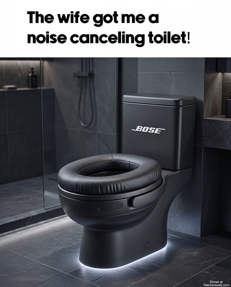 A Noise Cancelling Toilet #0