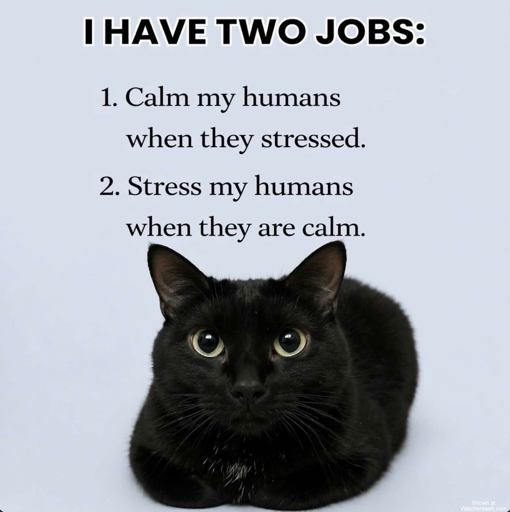 Two Jobs #0