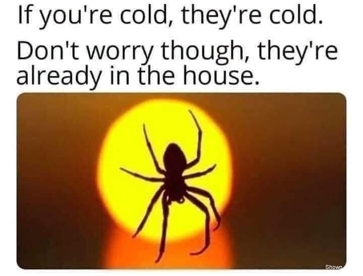 If Your Cold #0