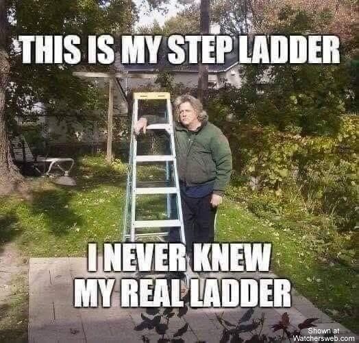 Step Ladder #0