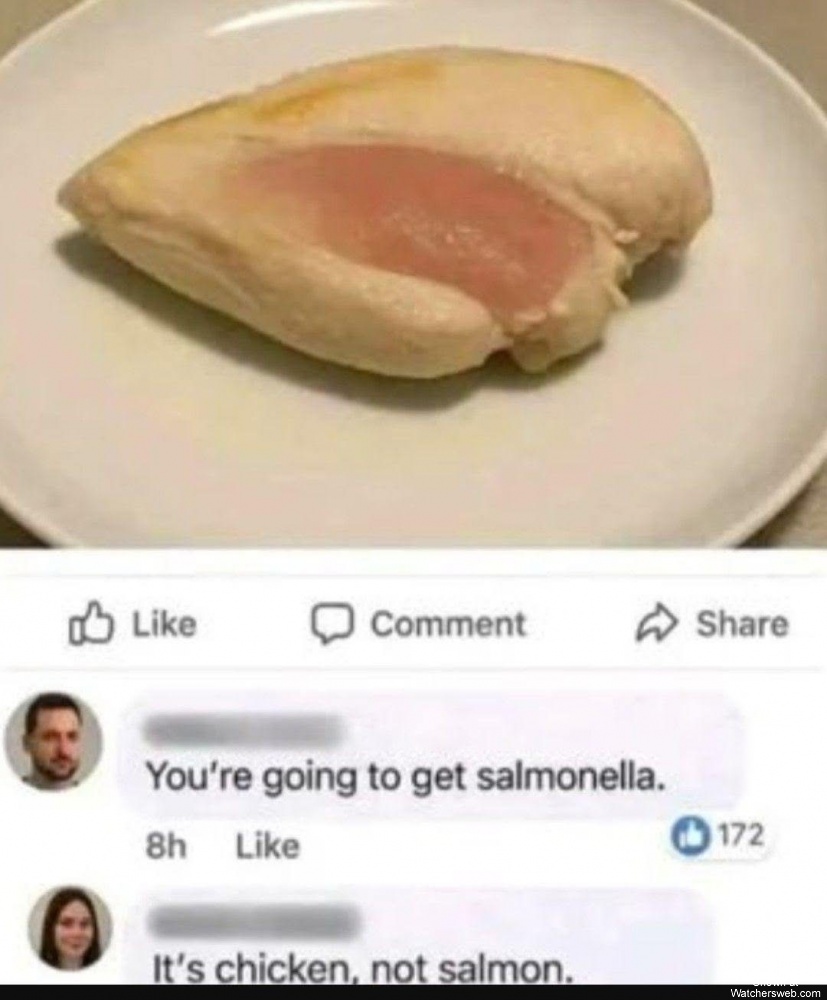 Salmonella #0