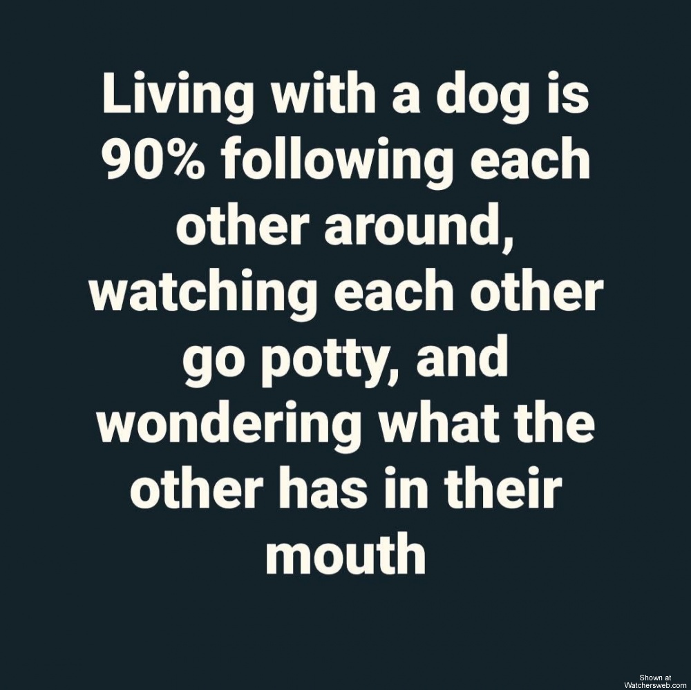 Living With A Dog #0
