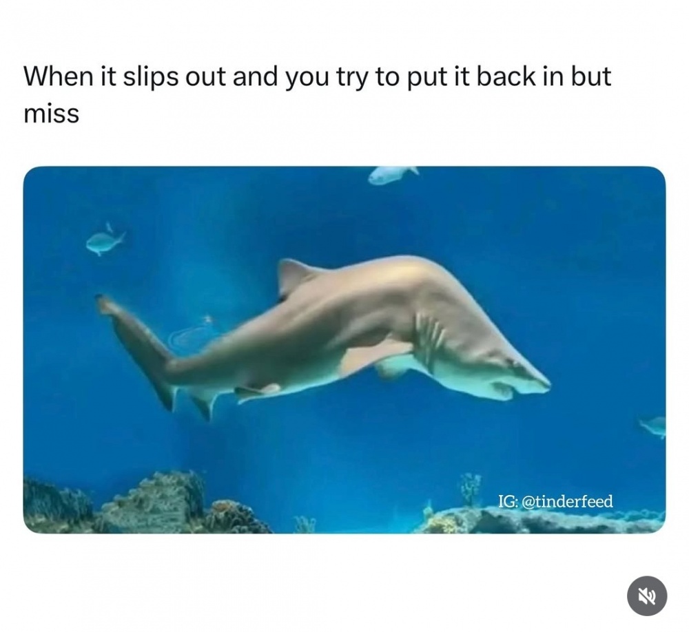 Slips Out #0