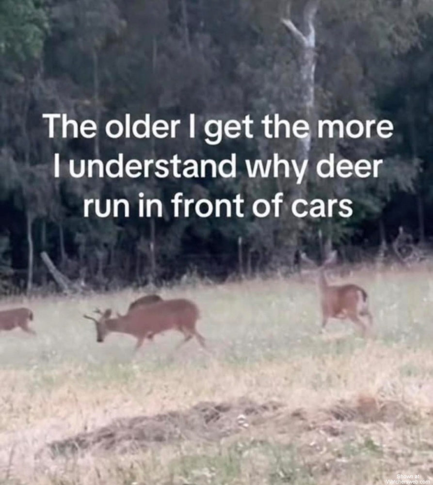 More I Understand #0