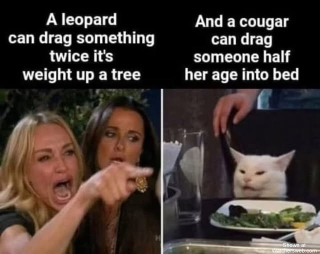 Leopard Vs. Cougar #0