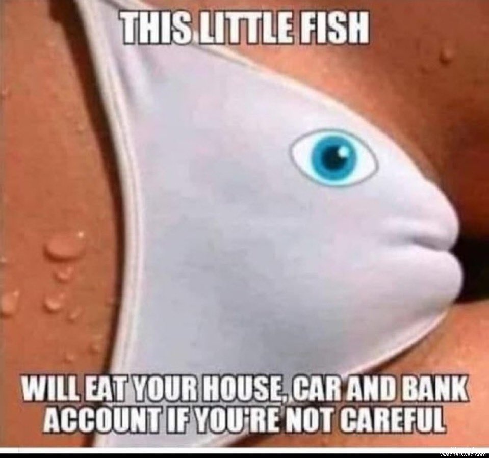 This Little Fish #0