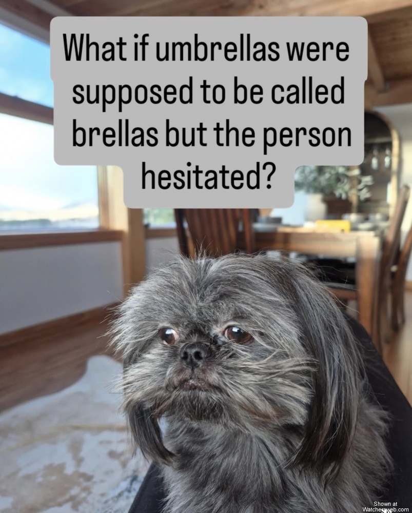 Brellas #0