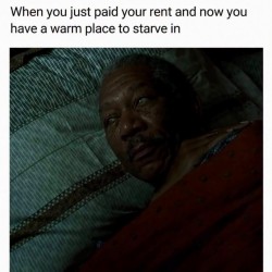 Rent Paid