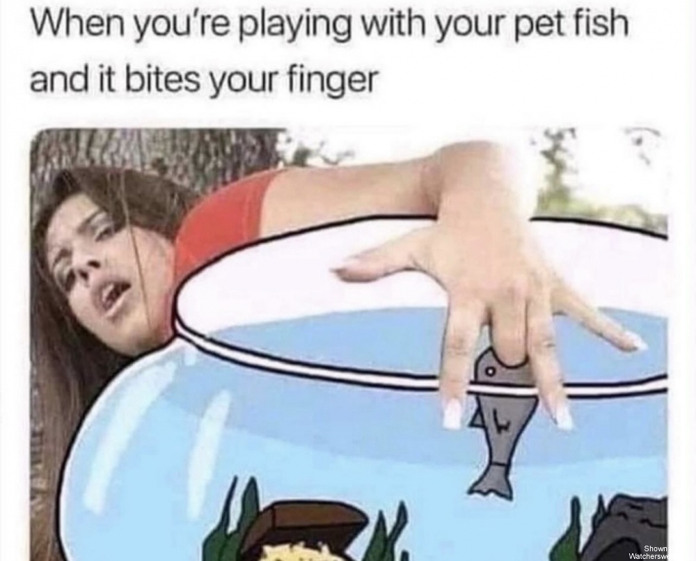 Playing With Your Fish #0