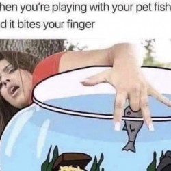 Playing With Your Fish