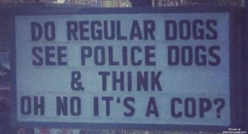Cop #0