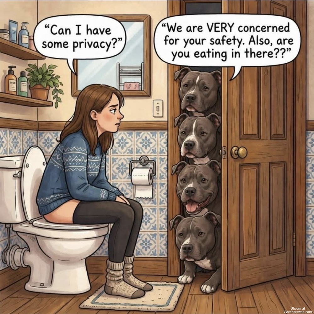 Privacy #0