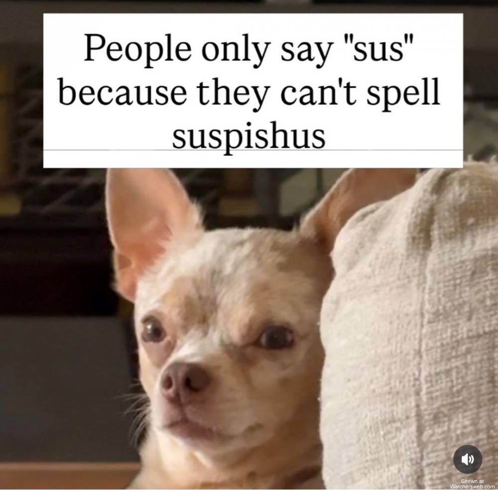 Sus #0
