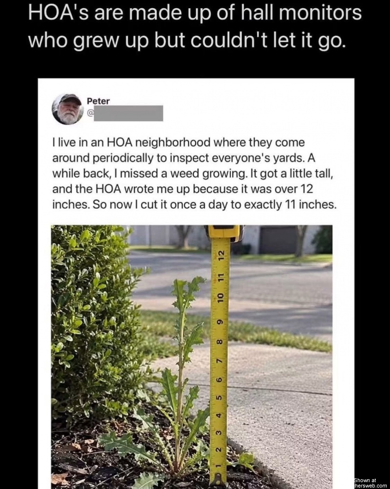 HOA’s #0