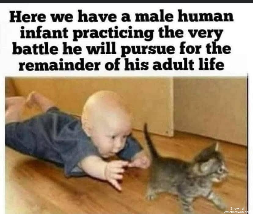 Battle #0