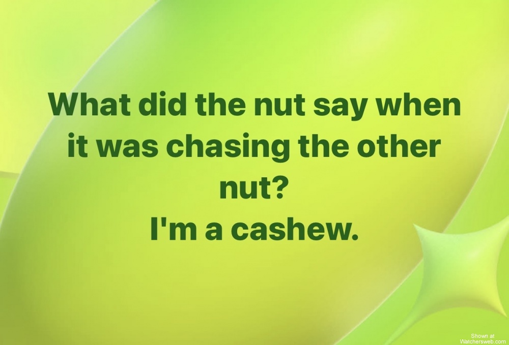 What Did The Nut Say #0